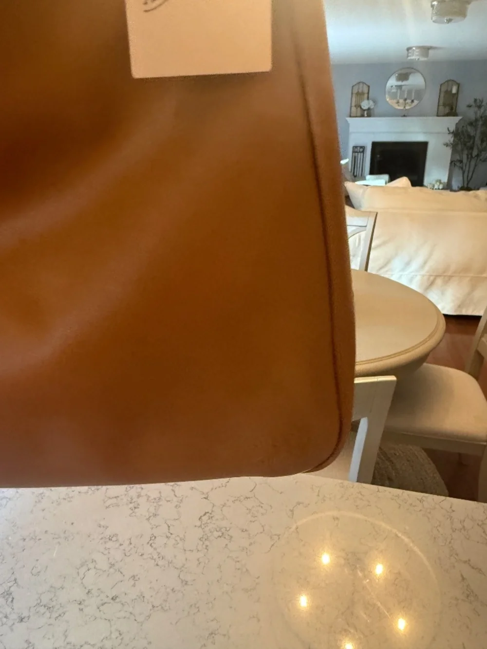 NWT Frye & Co Hobo Bag